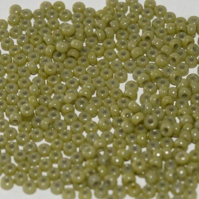 R15-4474 Rocaille 15/0 Duracoat Opaque Cactus DB2124 (x5gr)